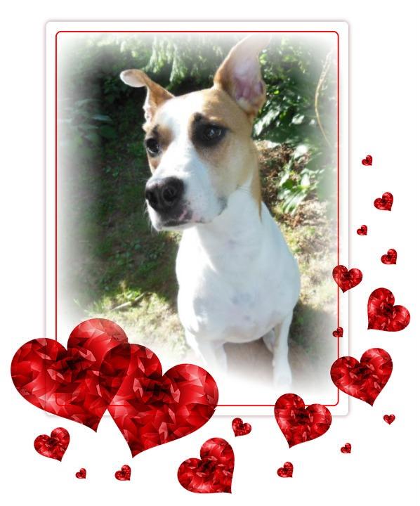 TuckersMom uploaded   50  day/s  ago