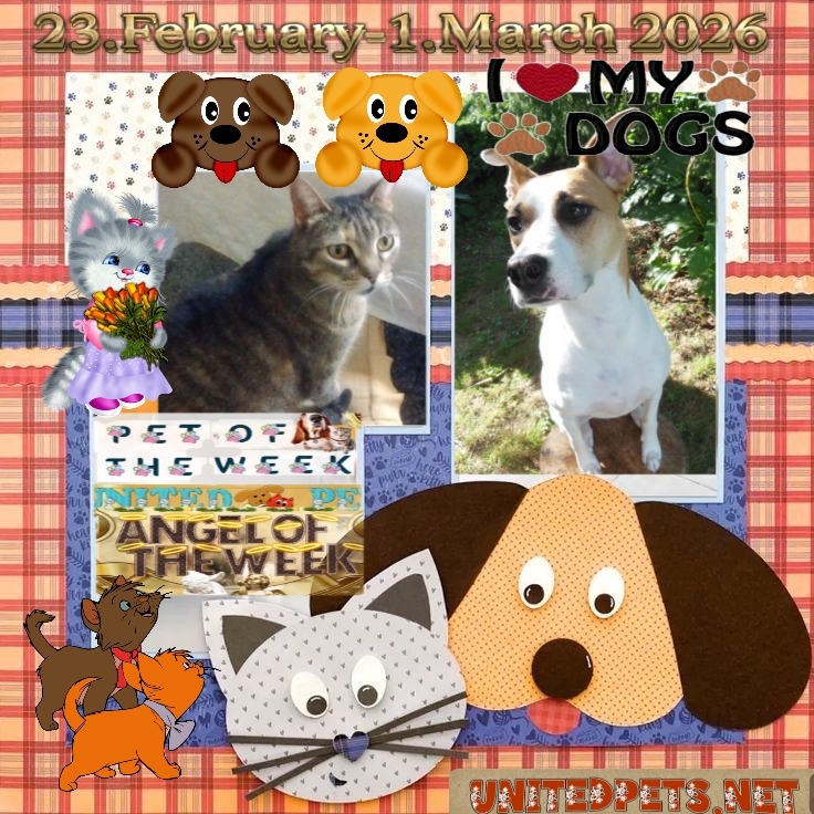 TuckersMom uploaded   50  day/s  ago