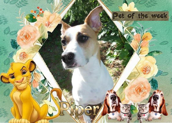 TuckersMom uploaded   50  day/s  ago