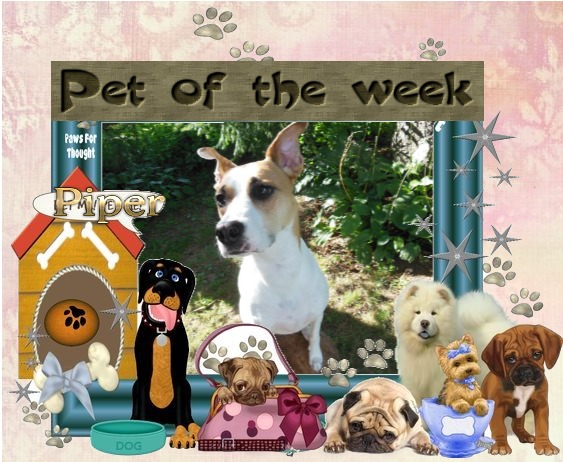 TuckersMom uploaded   50  day/s  ago