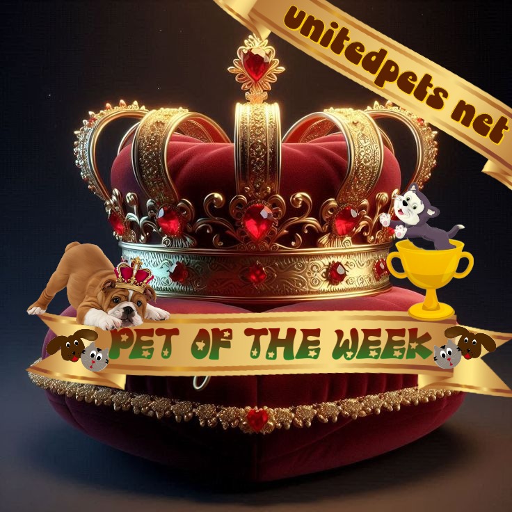 TuckersMom uploaded   50  day/s  ago