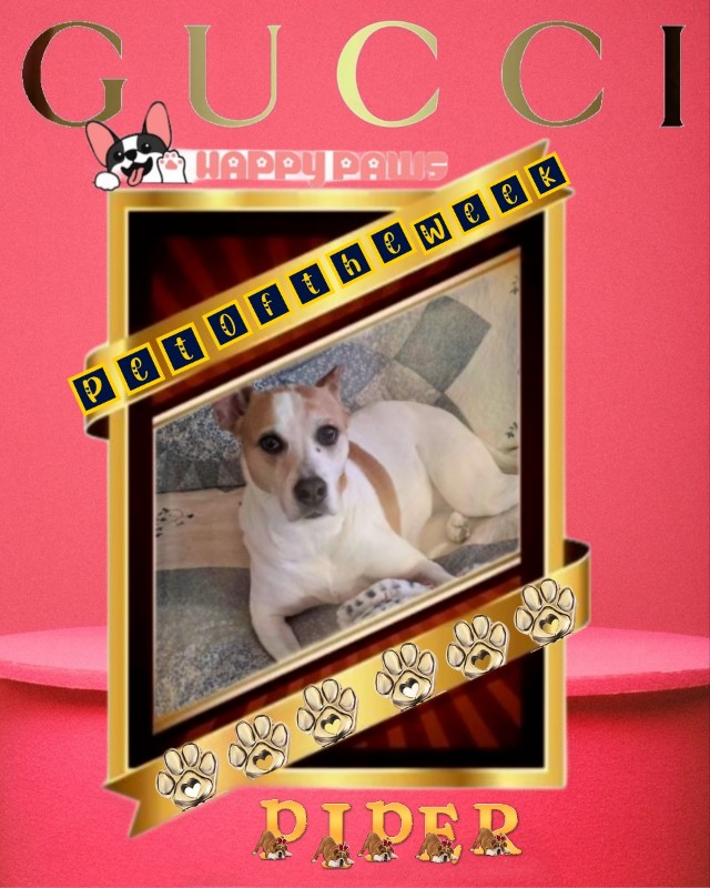 TuckersMom uploaded   50  day/s  ago