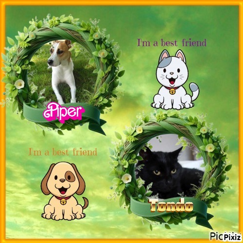 TuckersMom uploaded   50  day/s  ago