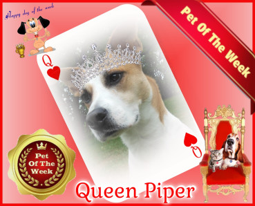 TuckersMom uploaded   50  day/s  ago