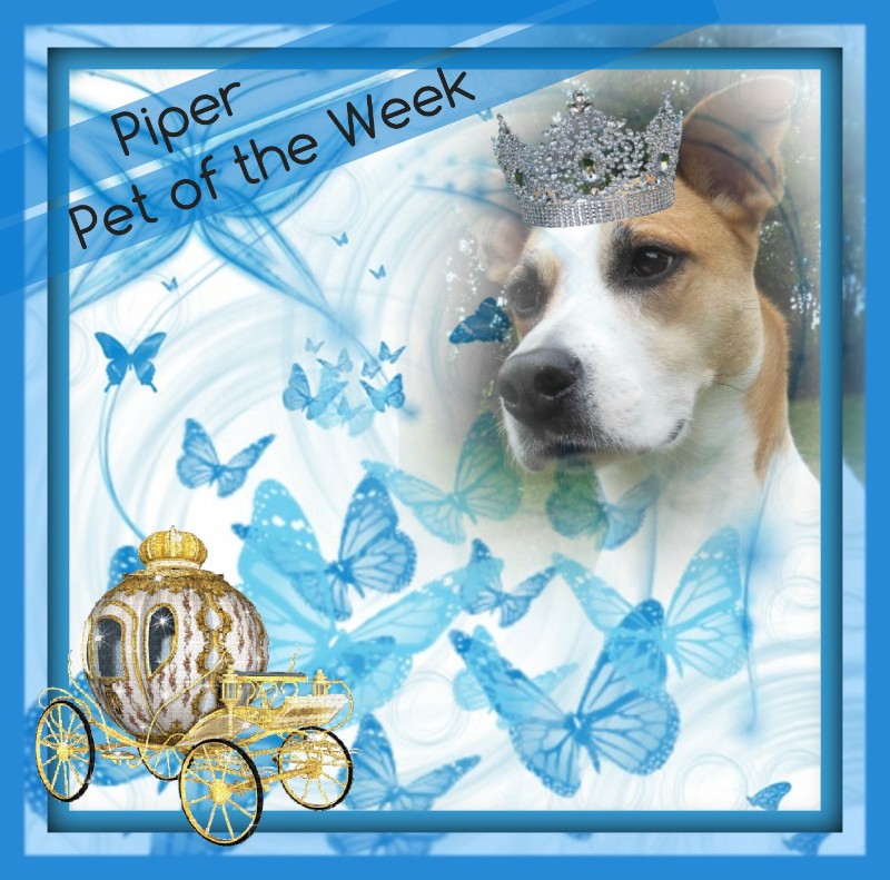 TuckersMom uploaded   50  day/s  ago