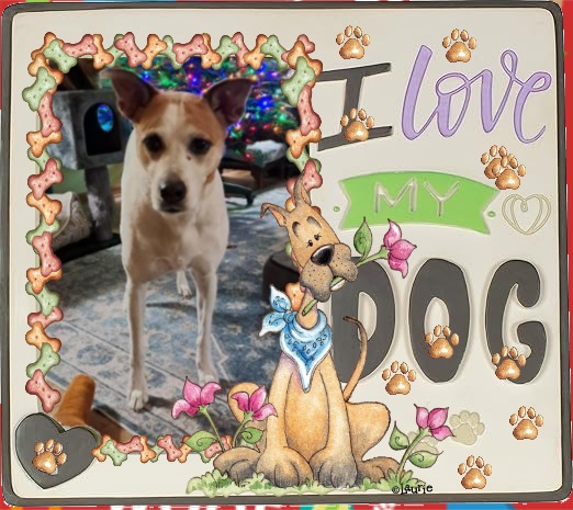 TuckersMom uploaded   50  day/s  ago