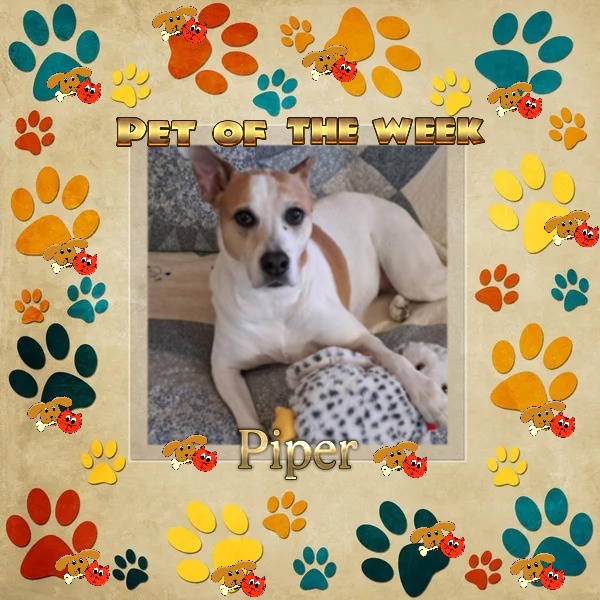 TuckersMom uploaded   50  day/s  ago