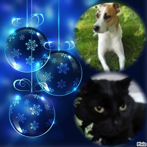 TuckersMom uploaded   50  day/s  ago