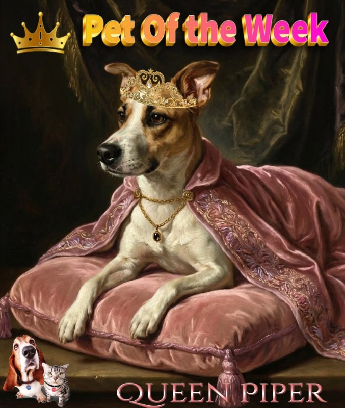 TuckersMom uploaded   50  day/s  ago