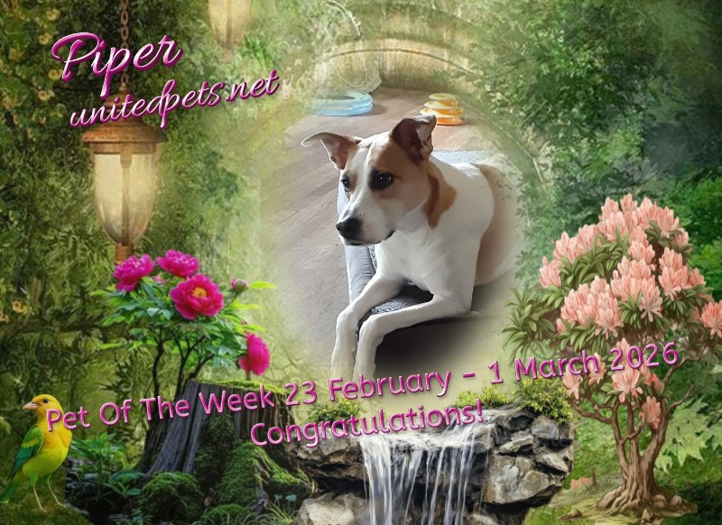 TuckersMom uploaded   50  day/s  ago