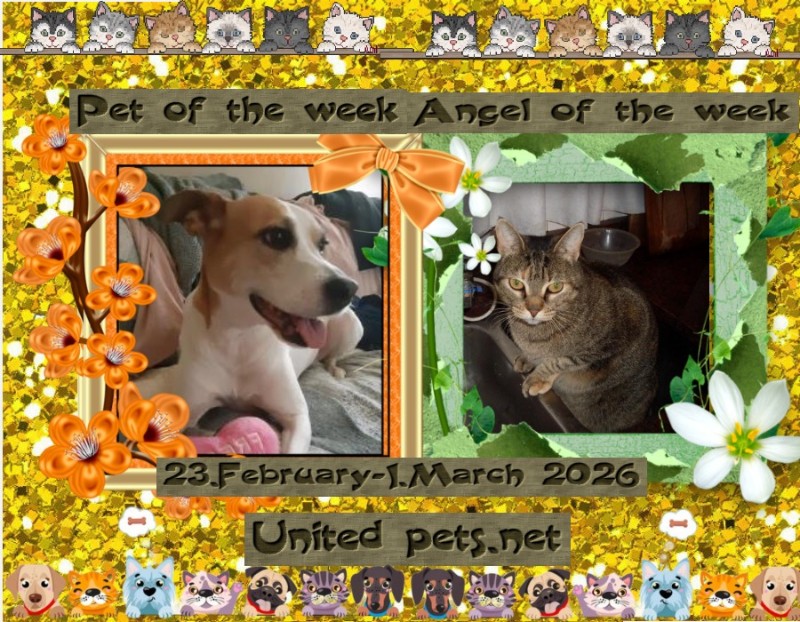 TuckersMom uploaded   50  day/s  ago