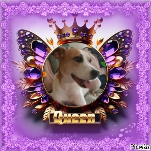 TuckersMom uploaded   50  day/s  ago