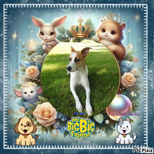 TuckersMom uploaded   50  day/s  ago