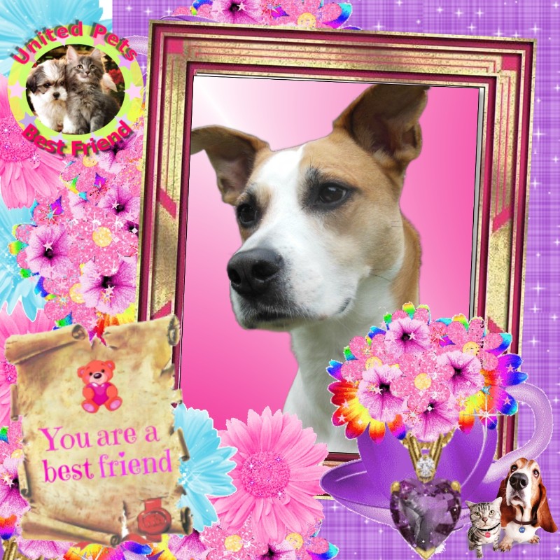 TuckersMom uploaded   50  day/s  ago