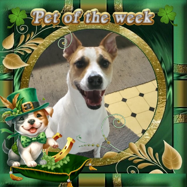 TuckersMom uploaded   50  day/s  ago