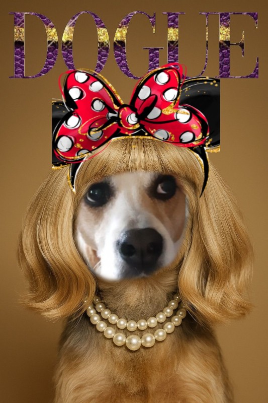 TuckersMom uploaded   50  day/s  ago