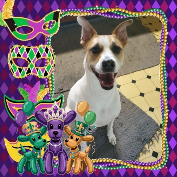 TuckersMom uploaded   50  day/s  ago