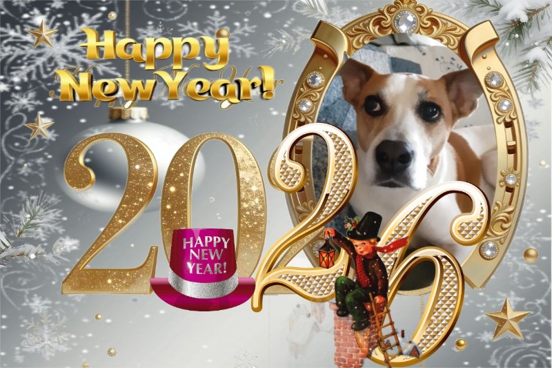 TuckersMom uploaded   50  day/s  ago