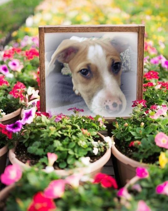 TuckersMom uploaded   50  day/s  ago