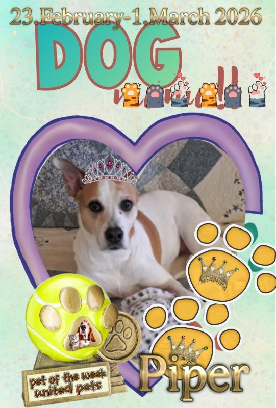 TuckersMom uploaded   50  day/s  ago