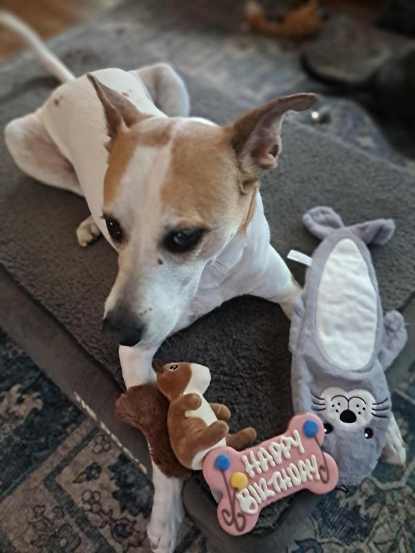 TuckersMom uploaded   212  day/s  ago