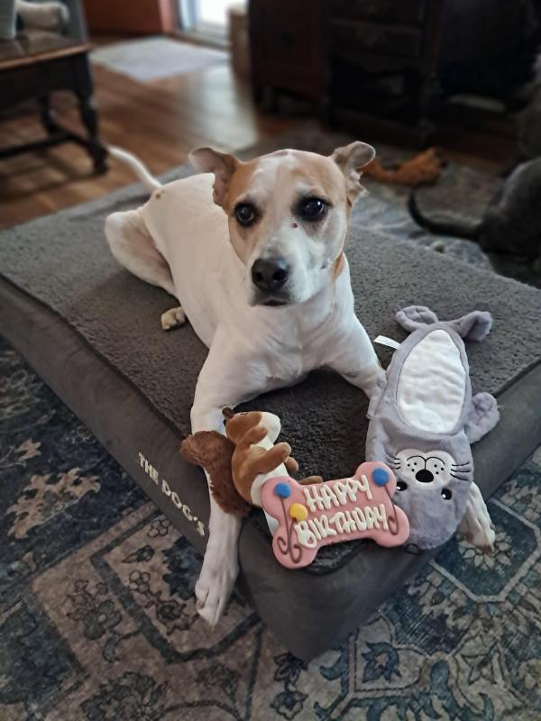 TuckersMom uploaded   212  day/s  ago