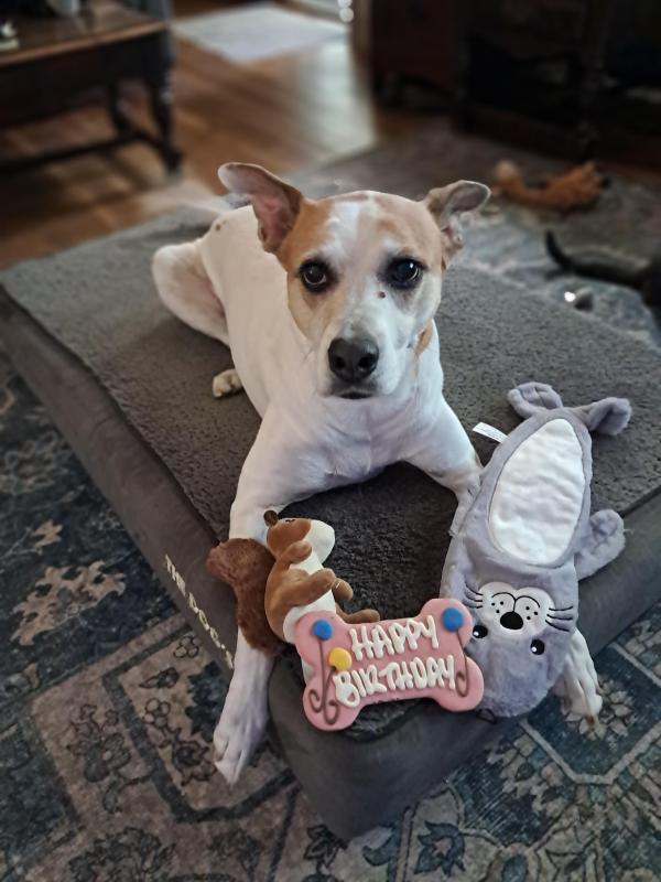 TuckersMom uploaded   212  day/s  ago