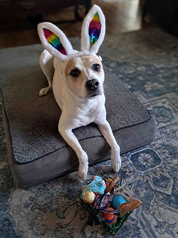 TuckersMom uploaded   1 year/s ago