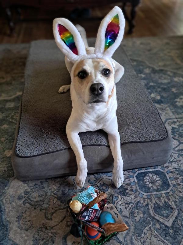 TuckersMom uploaded   1 year/s ago