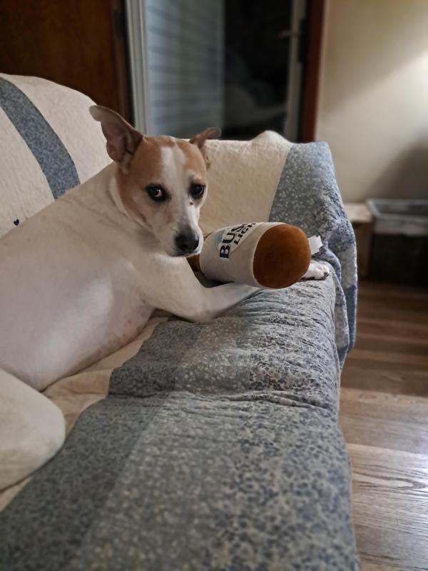 Piper of the TuckersMom family