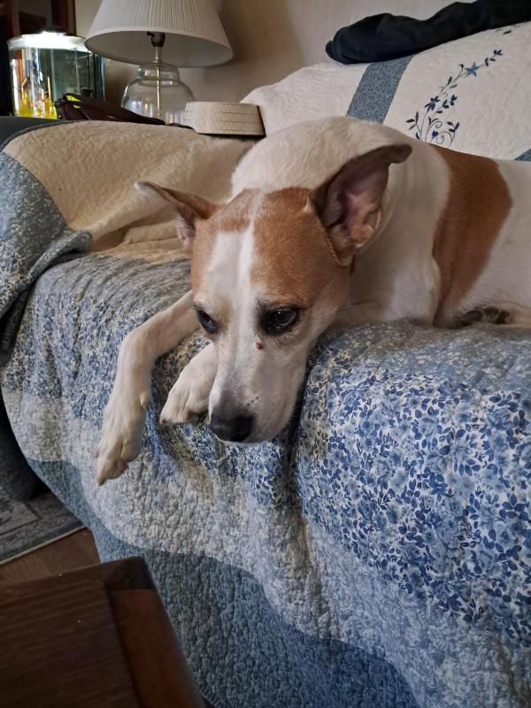 TuckersMom uploaded   135  day/s  ago