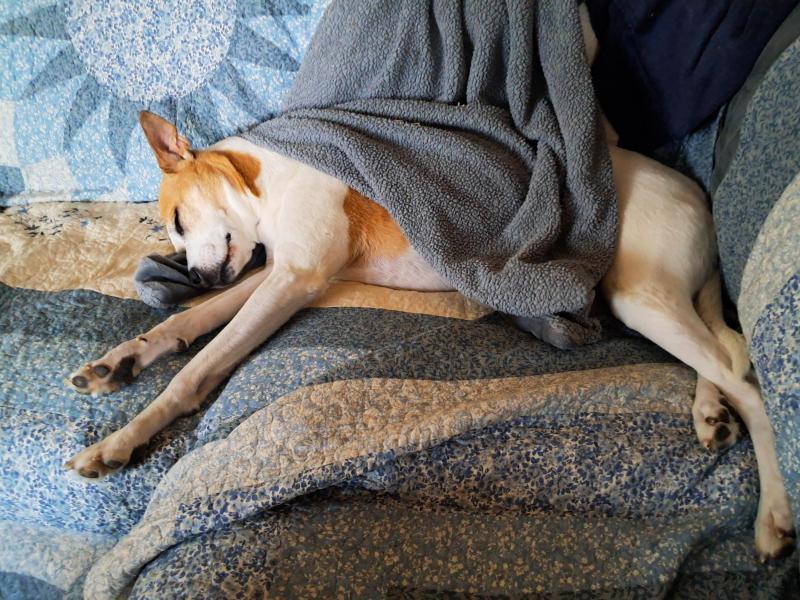 TuckersMom uploaded   1 year/s ago