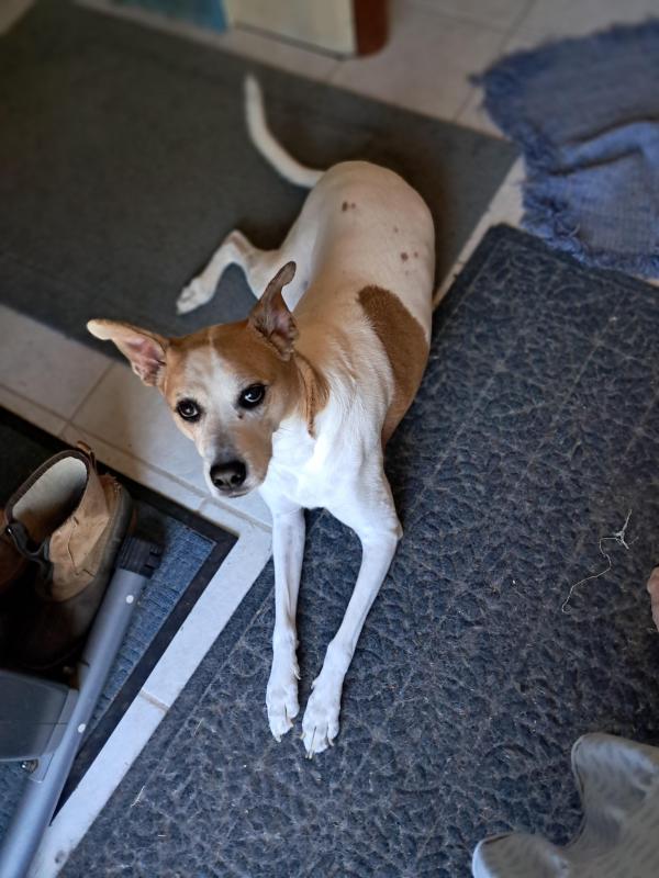 TuckersMom uploaded   212  day/s  ago