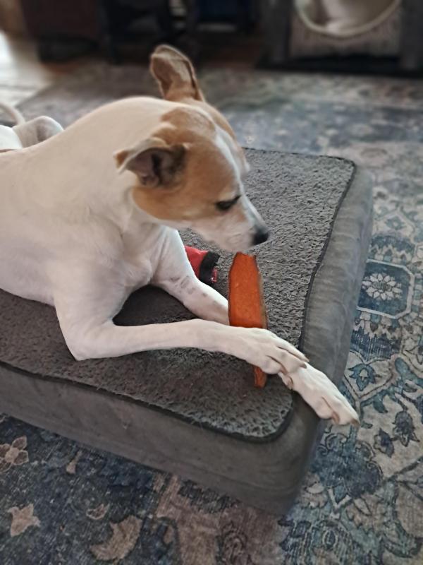 TuckersMom uploaded   211  day/s  ago