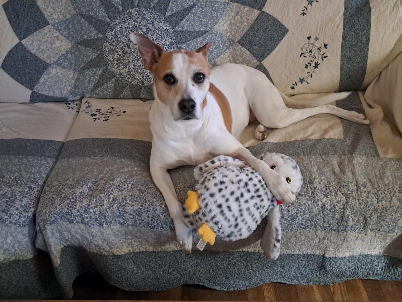 TuckersMom uploaded   1  day/s  ago