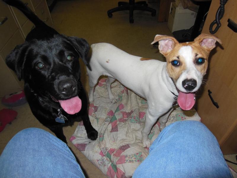 TuckersMom uploaded   28  day/s  ago