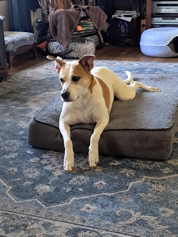 TuckersMom uploaded   28  day/s  ago