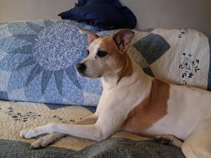 TuckersMom uploaded   17  day/s  ago