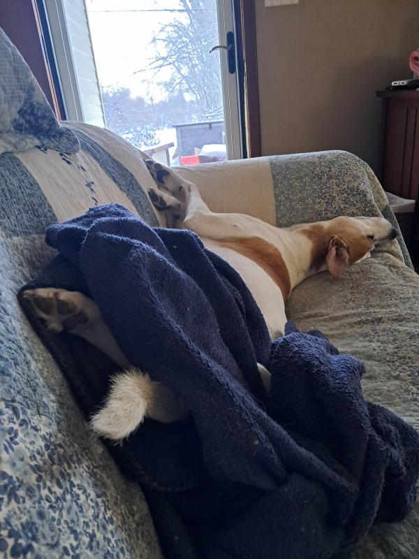 TuckersMom uploaded   43  day/s  ago