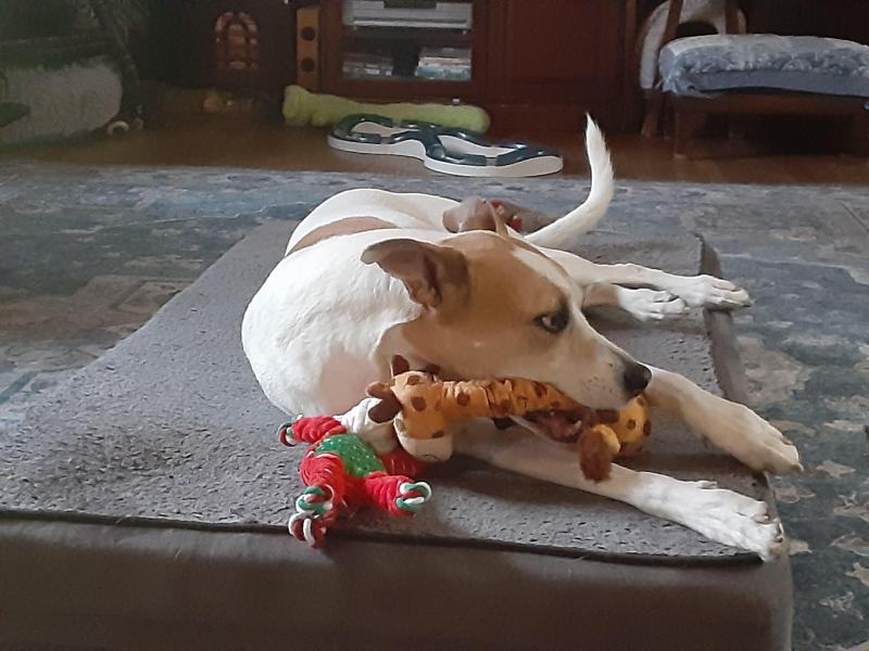 TuckersMom uploaded   37  day/s  ago