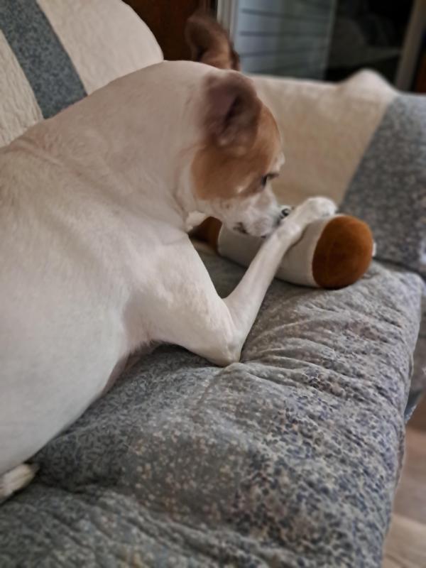 Piper of the TuckersMom family