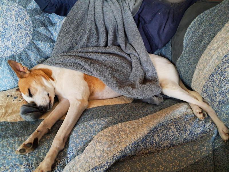 TuckersMom uploaded   1 year/s ago