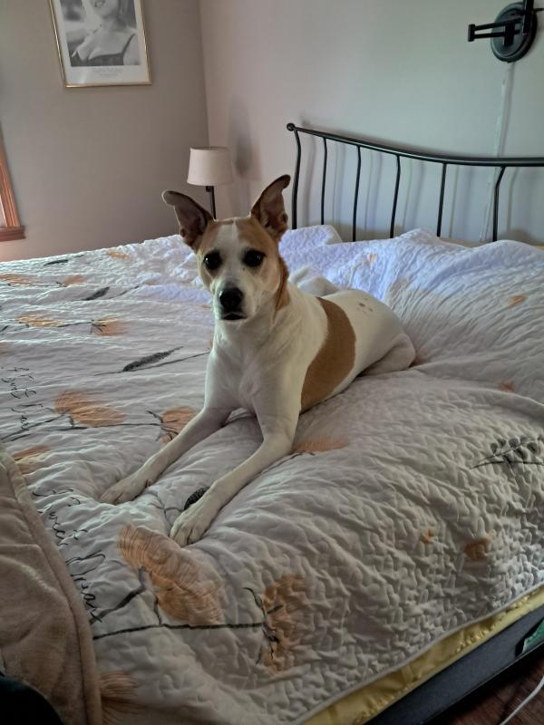 TuckersMom uploaded   363  day/s  ago