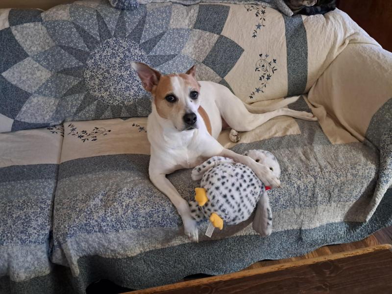 TuckersMom uploaded   1  day/s  ago