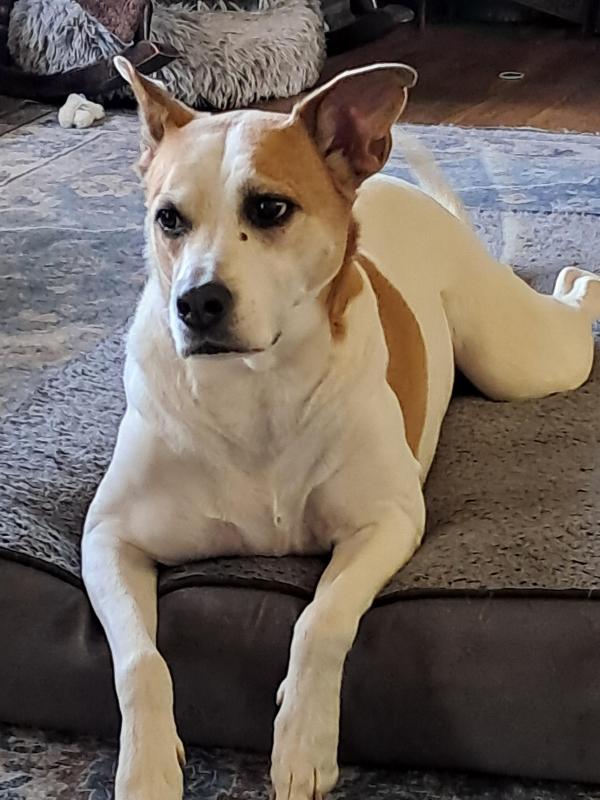 TuckersMom uploaded   28  day/s  ago