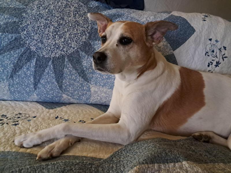 TuckersMom uploaded   17  day/s  ago