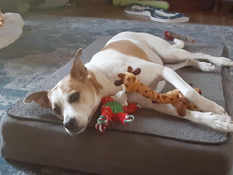 TuckersMom uploaded   37  day/s  ago