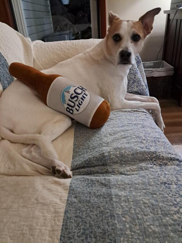 Piper of the TuckersMom family