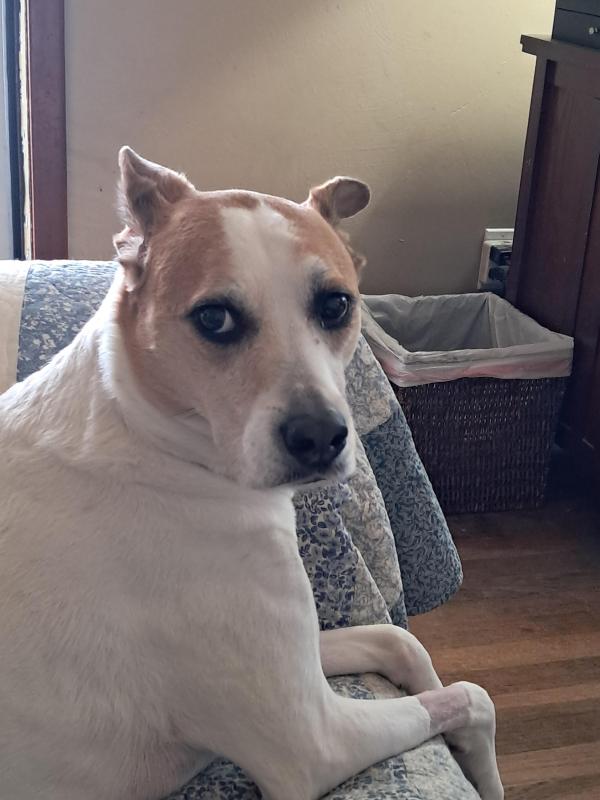 TuckersMom uploaded   1 year/s ago