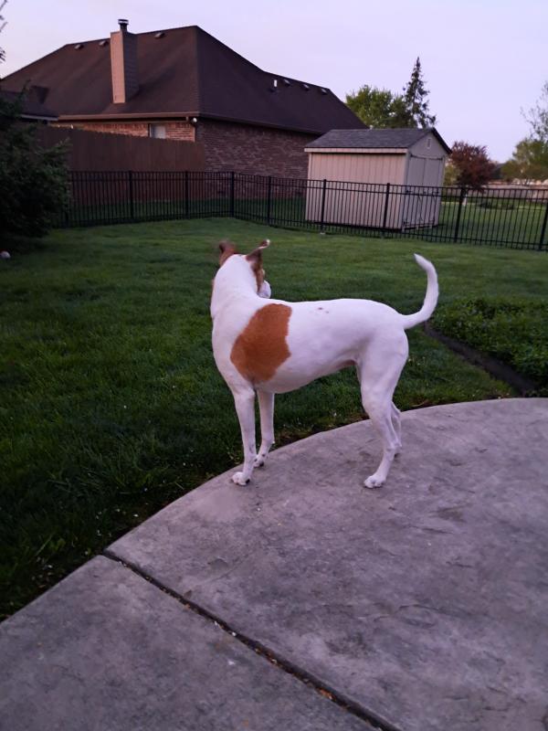 TuckersMom uploaded   363  day/s  ago